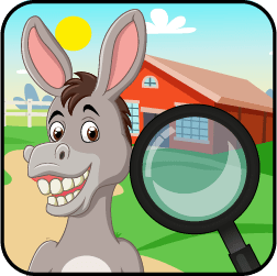 Activity Image